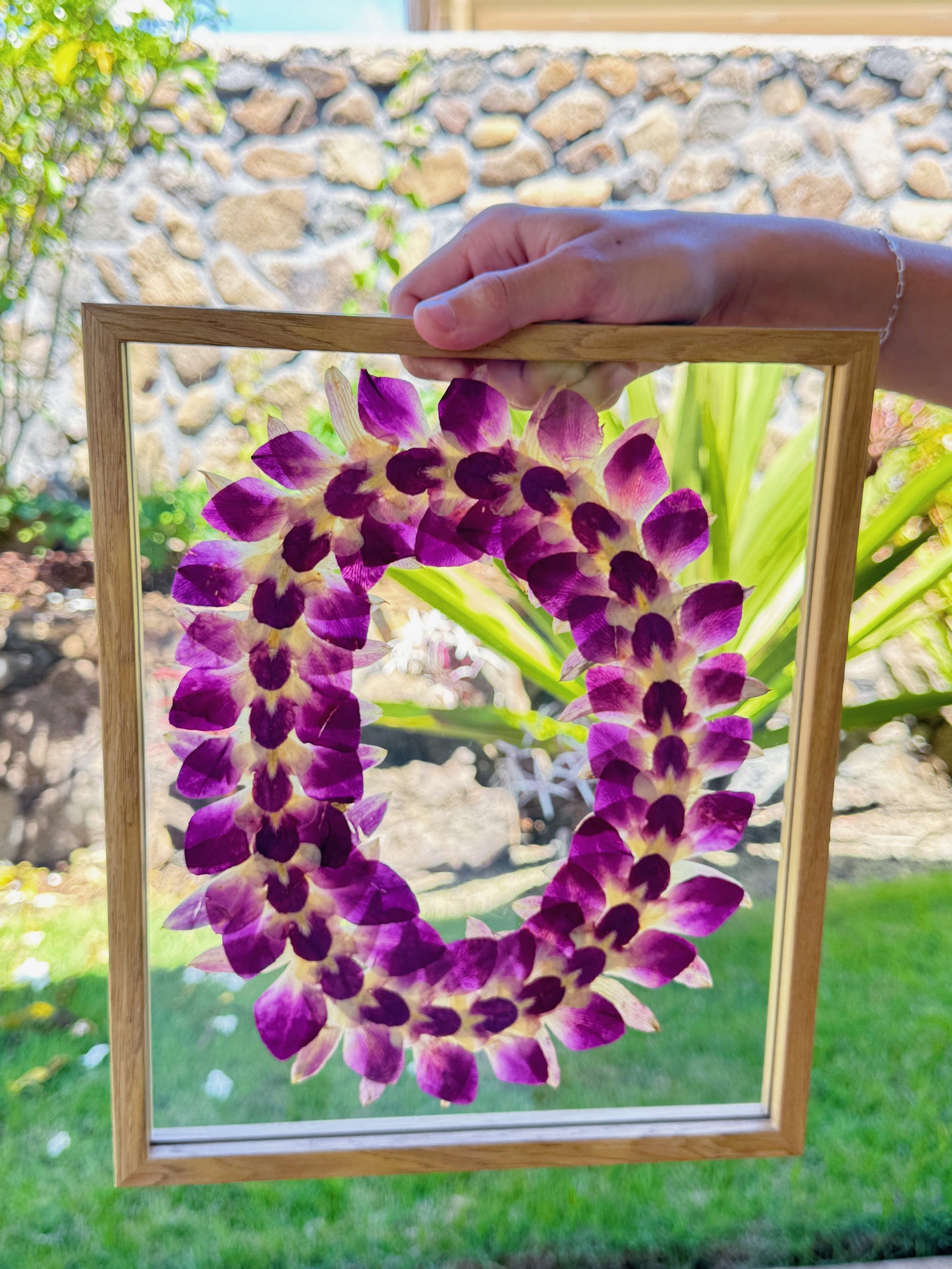 8x10 lei