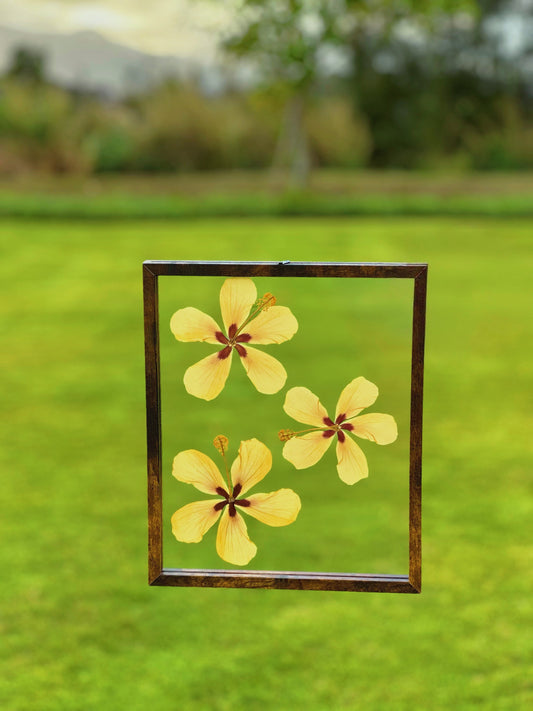 8x10 Yellow Hibiscus Trio