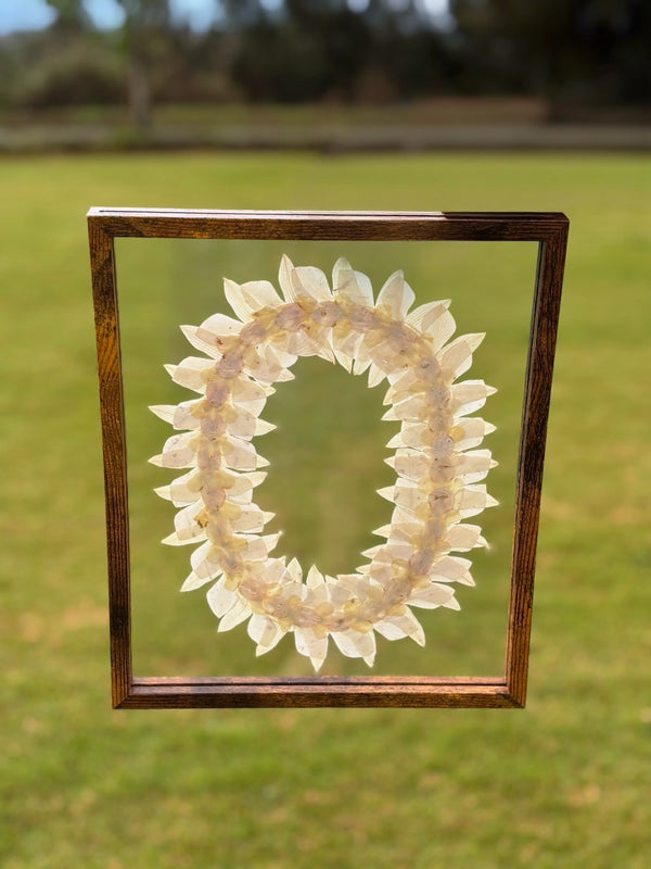 Leis