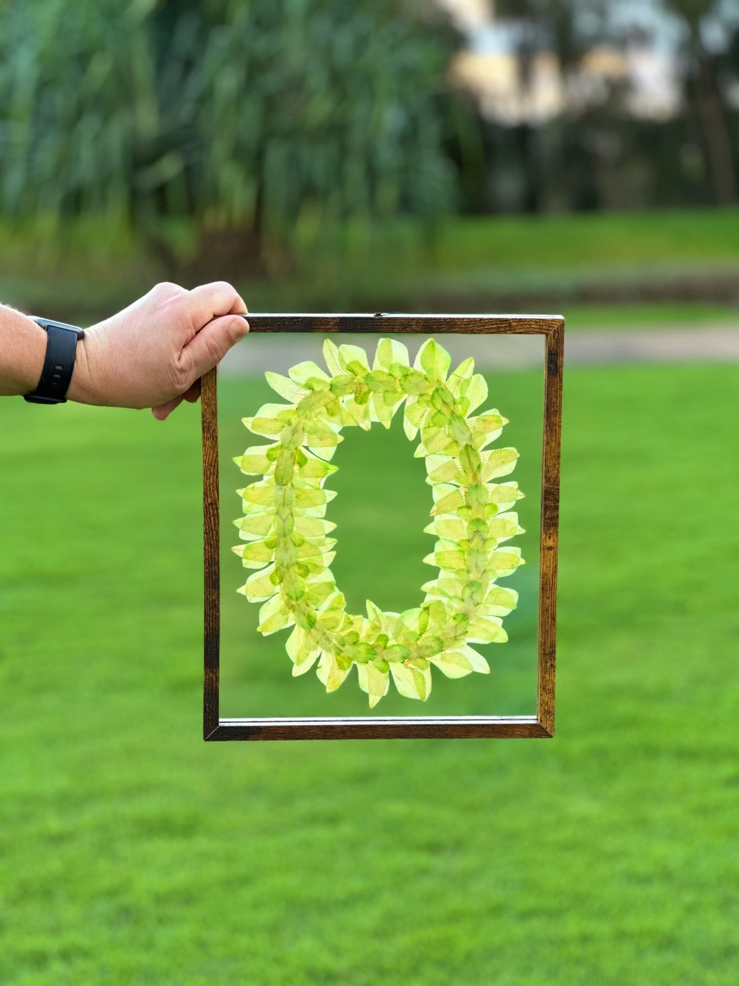 8x10 lei