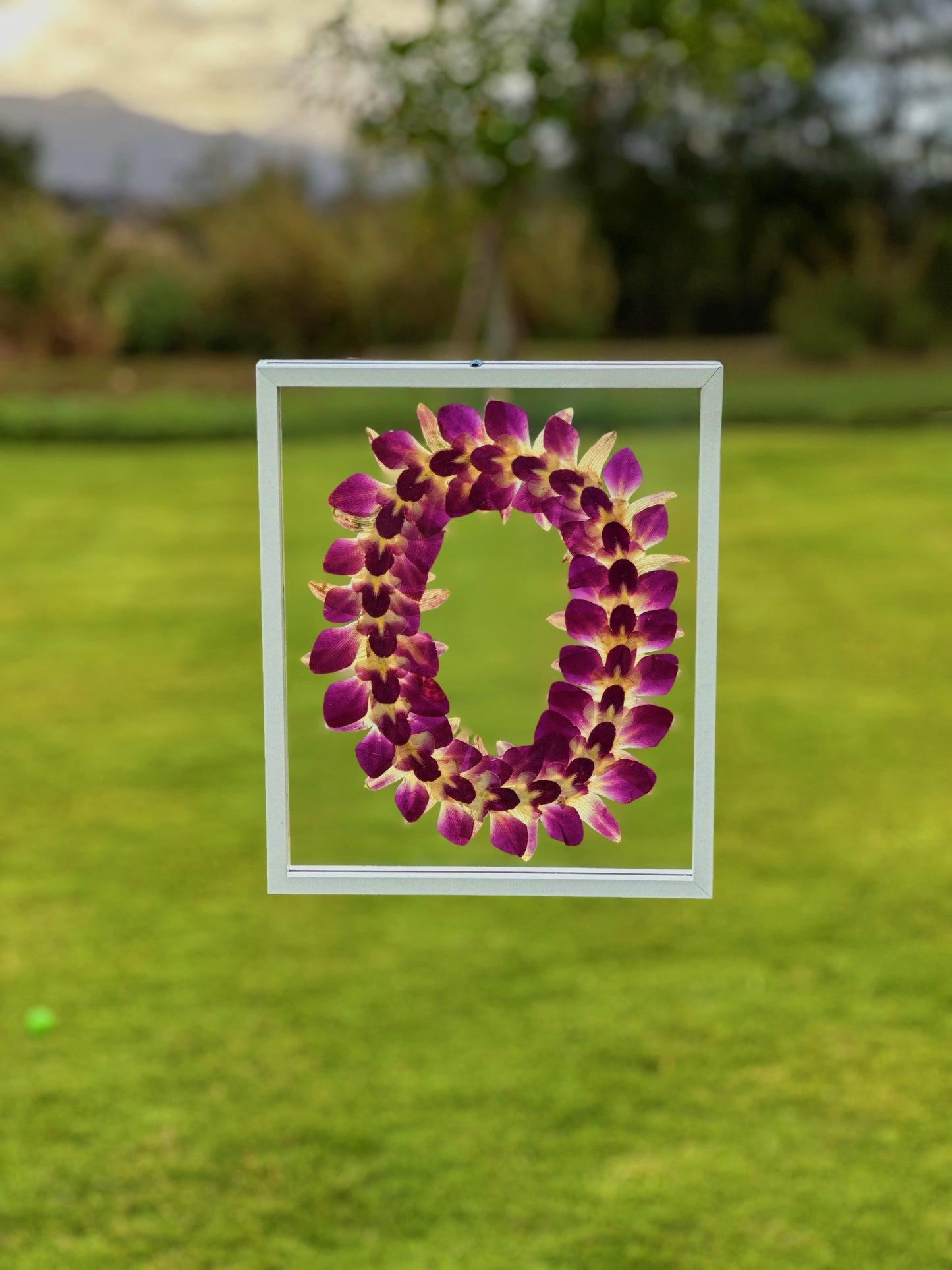 8x10 Classic Purple Orchid Lei