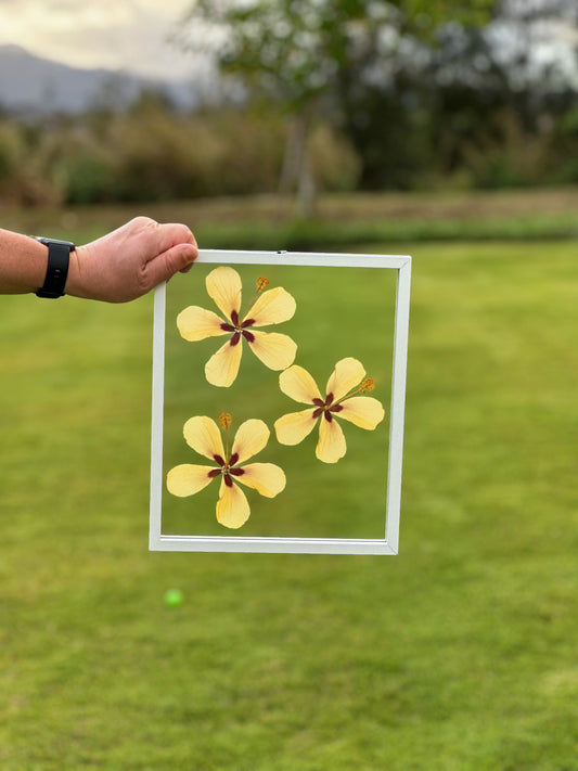 8x10 Yellow Hibiscus Trio
