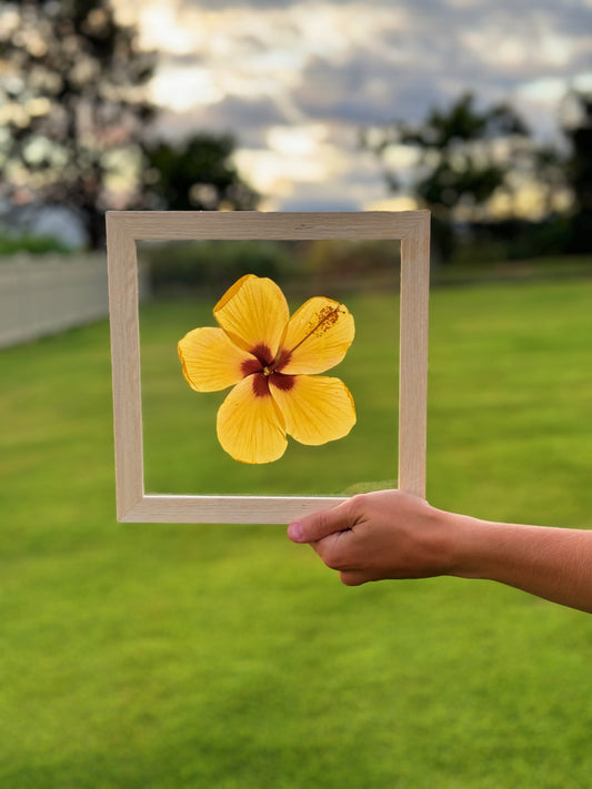 8x8 Hibiscus
