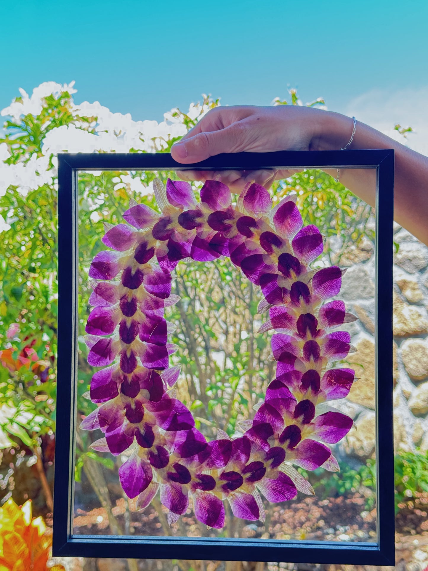 8x10 lei
