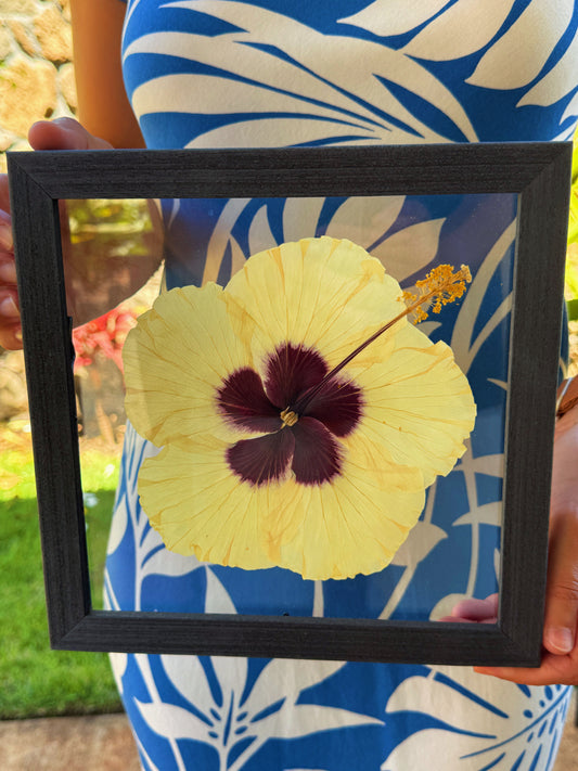 Light Yellow Hibiscus