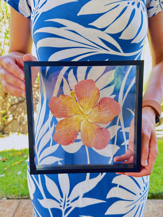 Sunset Hibiscus