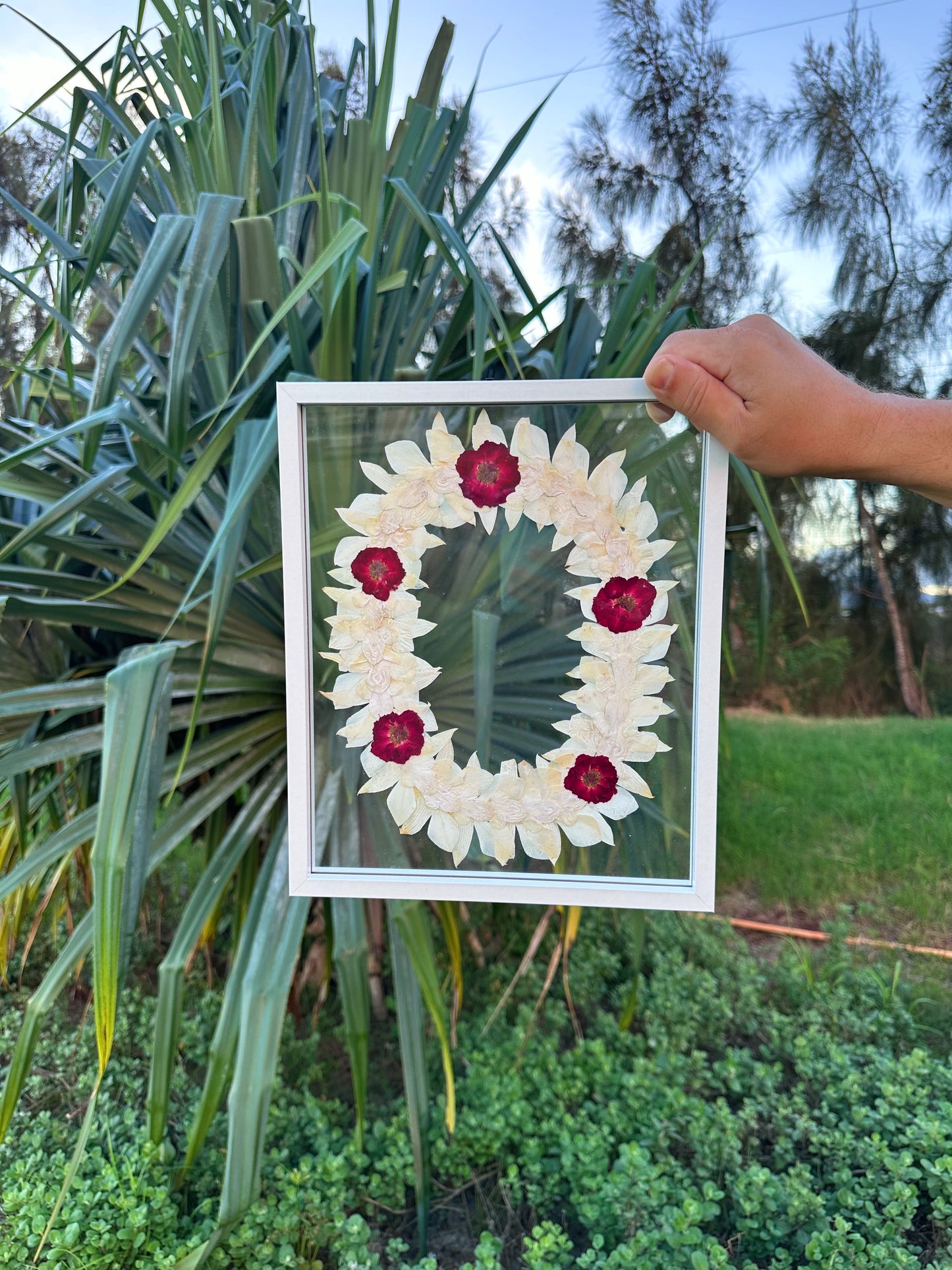 8x10 lei